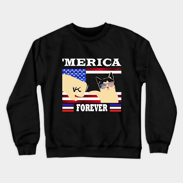 4th july Crewneck Sweatshirt by karascom